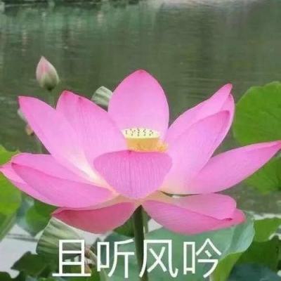 【何以中国运载千秋】扬州发布说唱MV《你好，大运河》
